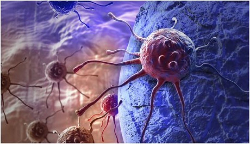 دستاورد محققان دانشگاهی برای تشخیص قابلیت تهاجمی سلول‌های سرطانی در مسیر تجاری‌سازی