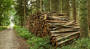 صنعت چوب در ایران موفق یا نا موفق